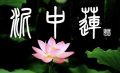 泥中蓮