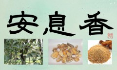 安息香