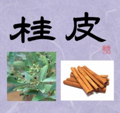 桂皮
