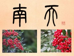 南天