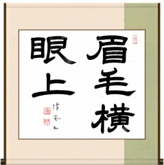 眉毛横眼上