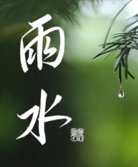雨水②