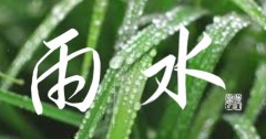 雨水②