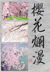櫻花燗漫