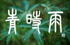 青時雨
