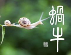 蝸牛