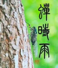 蝉時雨2
