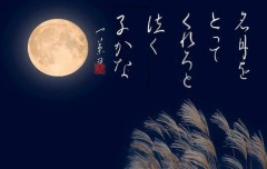 名月を