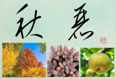 秋麗②