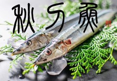 秋刀魚