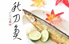 秋刀魚②