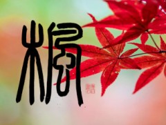 楓