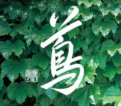 鷸 ②