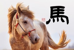 馬②