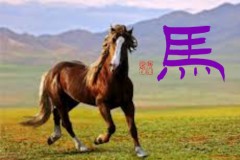 馬②