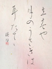 立春や月のうさぎは耳たてて