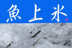 魚上氷②