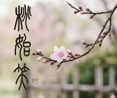 桃始笑