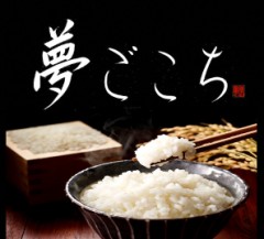夢ごこち