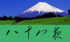 八十八夜②
