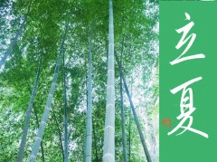 立夏②