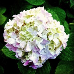 【お題日記】信頼関係とは？