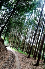 【お題日記】一番落ち着く場所はどこ？