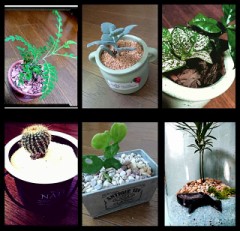 【お題日記】100円ショップでよく買うものは？