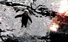 【お題日記】乾燥の季節！あなたの保湿テク