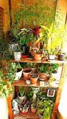 【お題日記】デジで気になってる人どんな人？