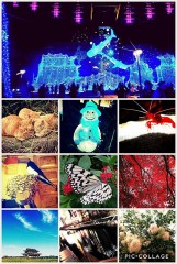 【お題日記】インスタやってますか？