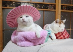 【お題日記】オススメお風呂アイテム・入浴法