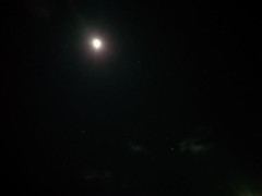 【お題日記】2018年あけましてのご挨拶♪