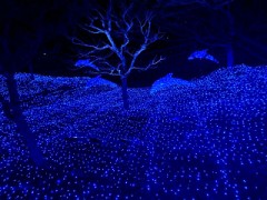 【お題日記】世間体なんて気にしない？