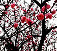 【お題日記】もう◯◯にはウンザリ！