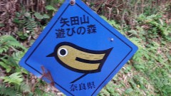 【お題日記】今住んでいる所に愛着ある？