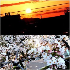 【お題日記】あなたの口癖は？