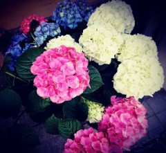 【お題日記】好きな四字熟語