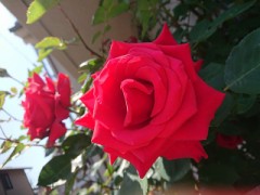 【お題日記】デジで仲良くなりたい人へのアプローチ方法