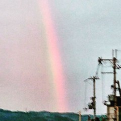 【お題日記】最近のほっこりエピソード