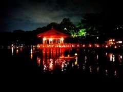 【お題日記】アイス派？シャーベット派？