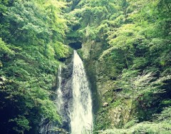 【お題日記】好きな人のココが気になる