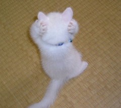 中学生の娘に売春？