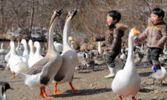 貸しを作りたい？