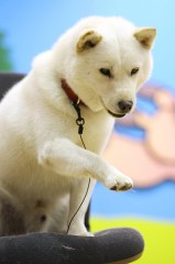 １００年経っても