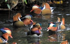 何故なんです？