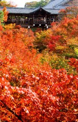 歴　女・・・？