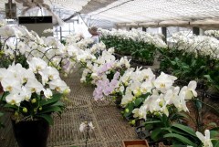 こんな所にも・・・