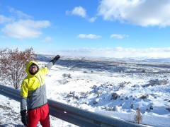 がん治療の為に一時中断