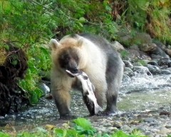 出会い系サイト ランキング-1